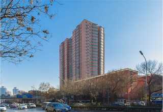 山东阀口袋包装机真空吸尘设计厂家