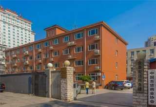 上海正规撸猫好处